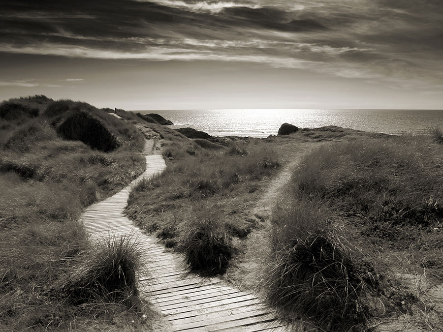 Winding wooden path running through coastal grass, sea and the sun in the background.