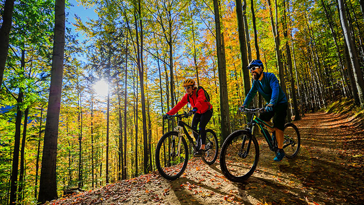 couple cycling in the woods