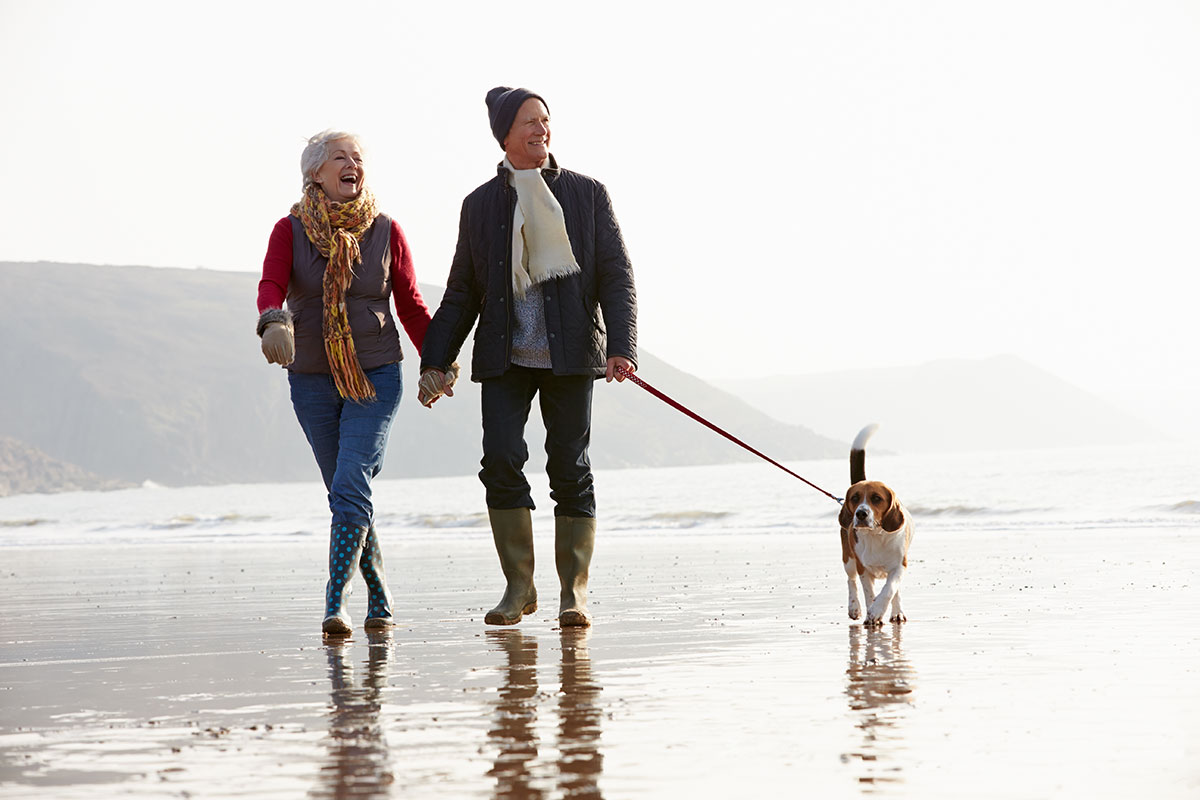 couple walking a dog on the beach