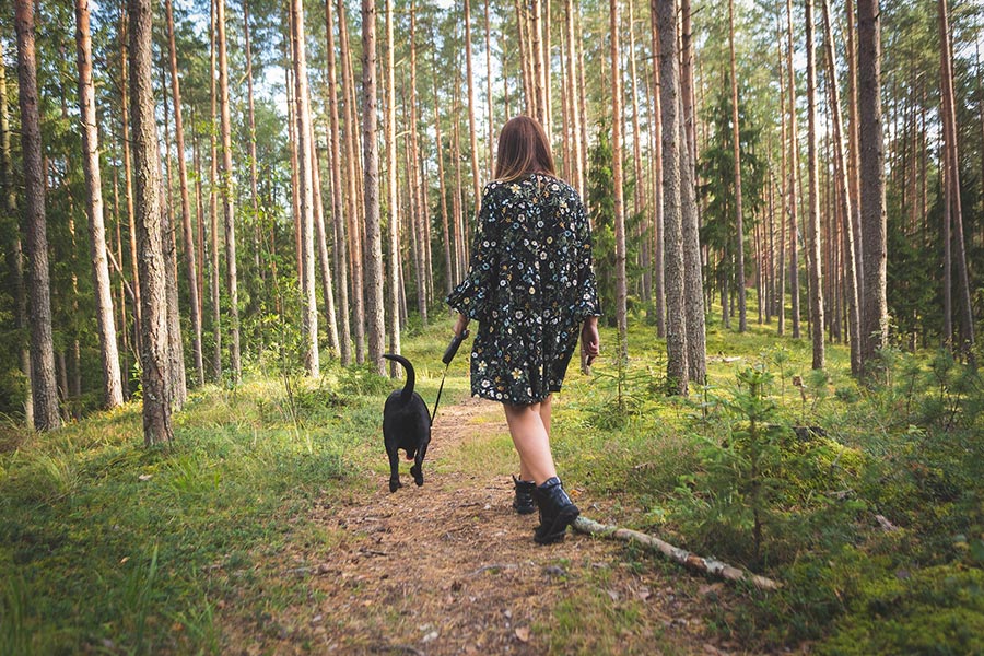 Woman walking a black dog in the woods