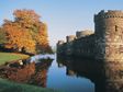 AIRBNB VS A HOLIDAY LETTING AGENCY — WHICH IS BETTER FOR NORTH WALES OWNERS?