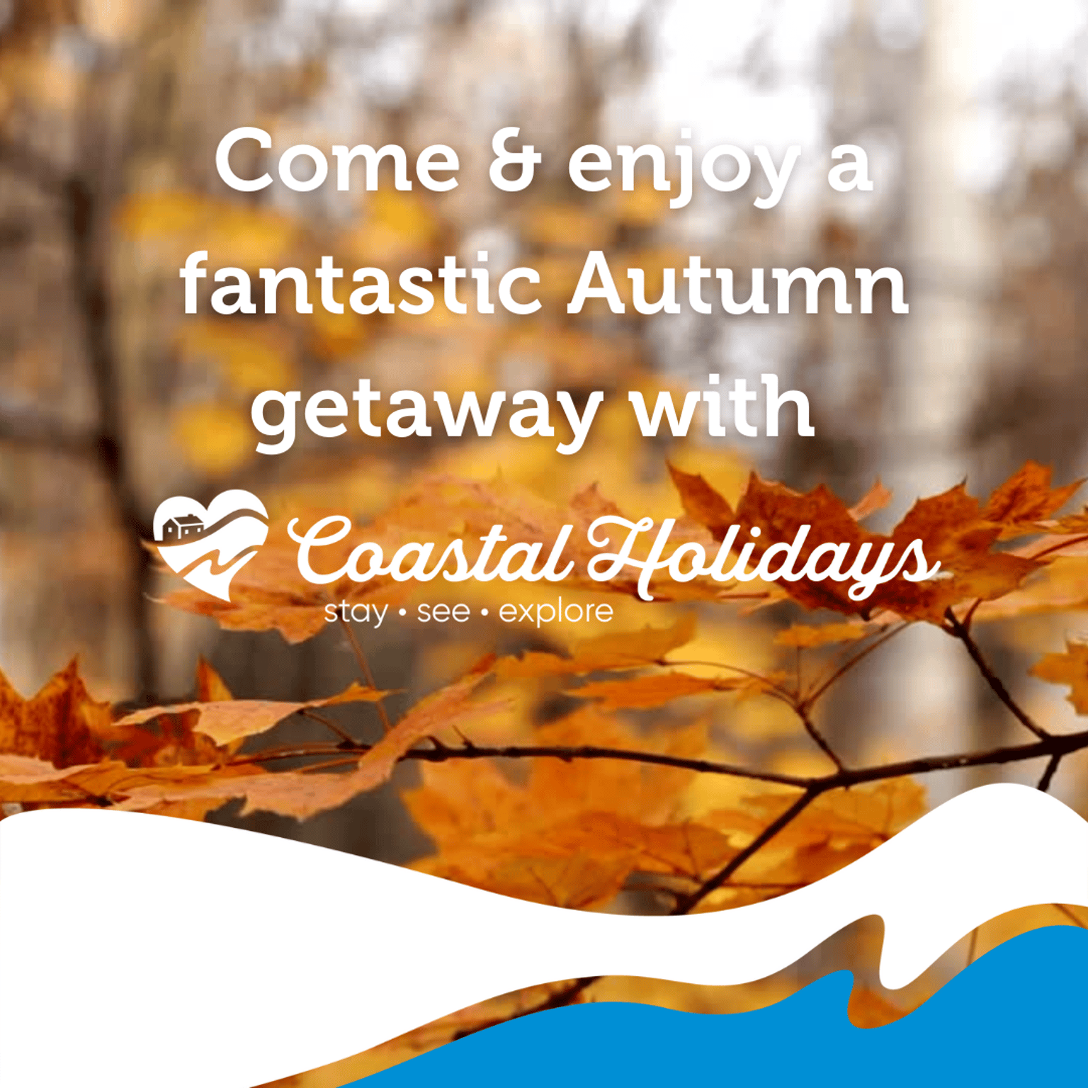 Autumn Holiday Availability