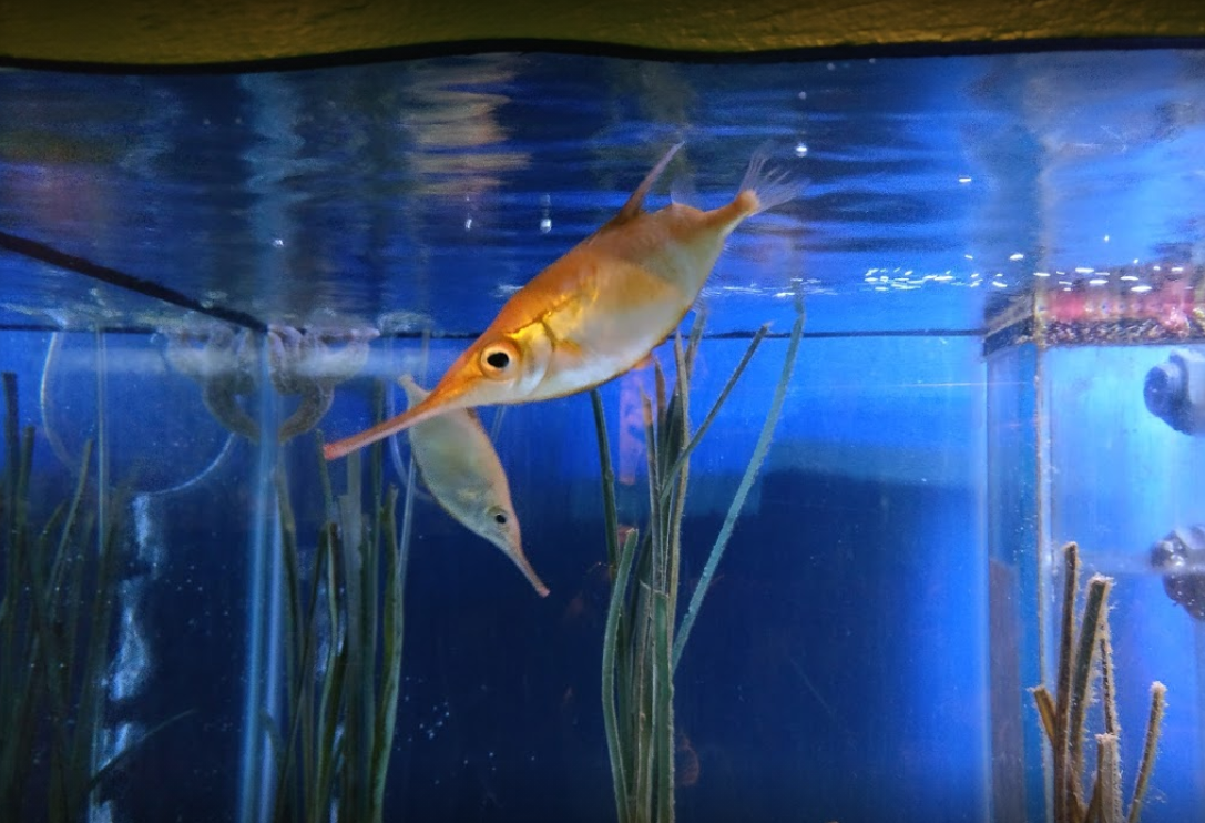 7 Things To Do on a Family Holiday in Anglesey