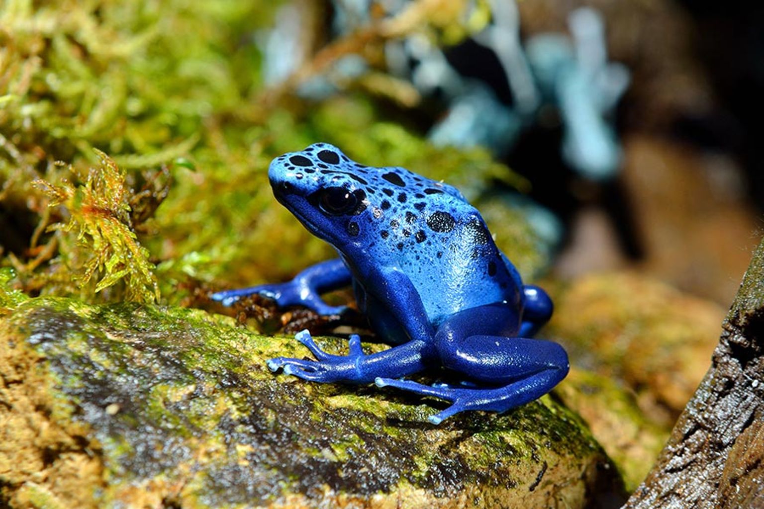 Enjoy a family fun day out!