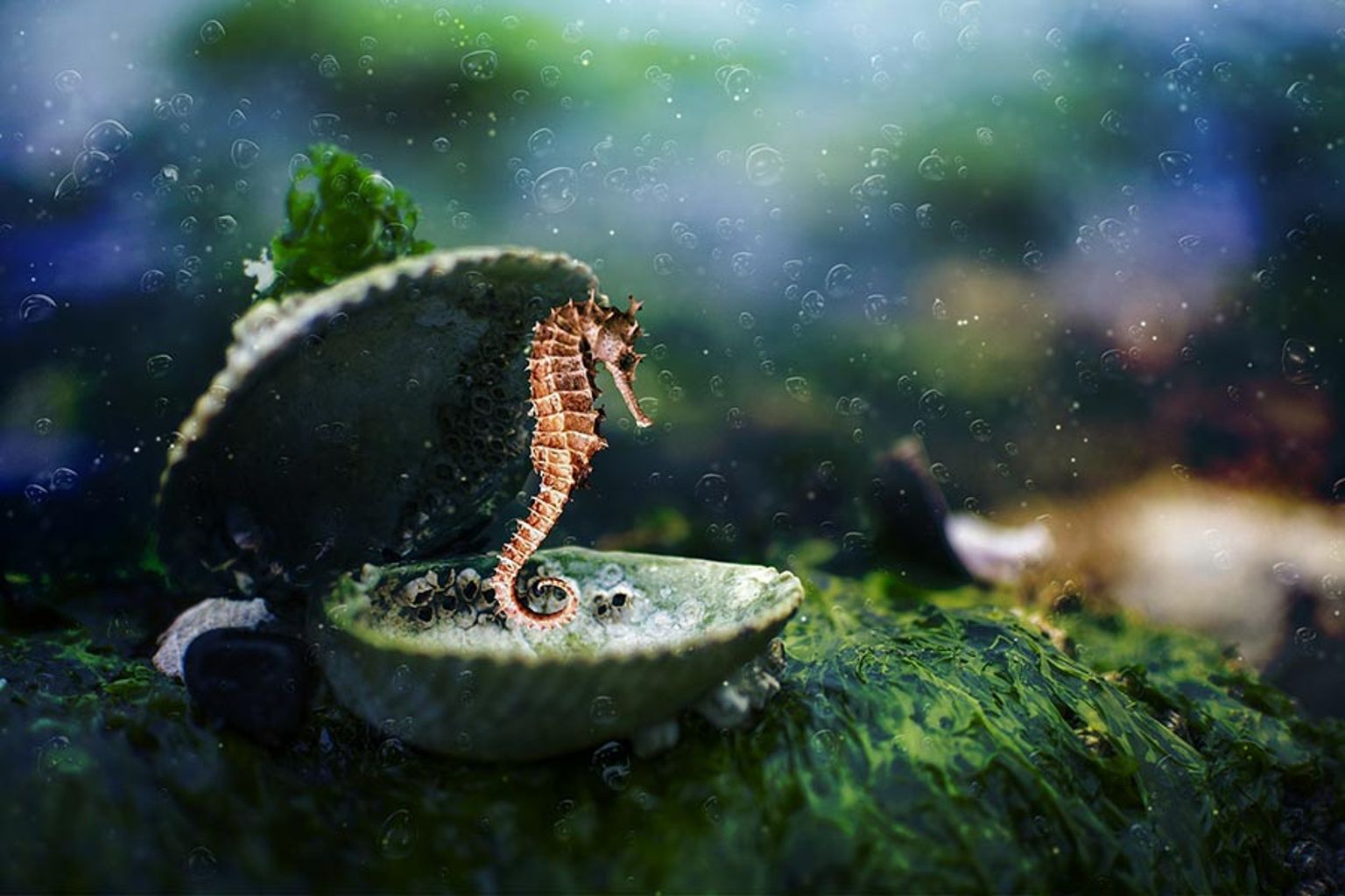 Easter attractions and activities available on Anglesey and nearby.