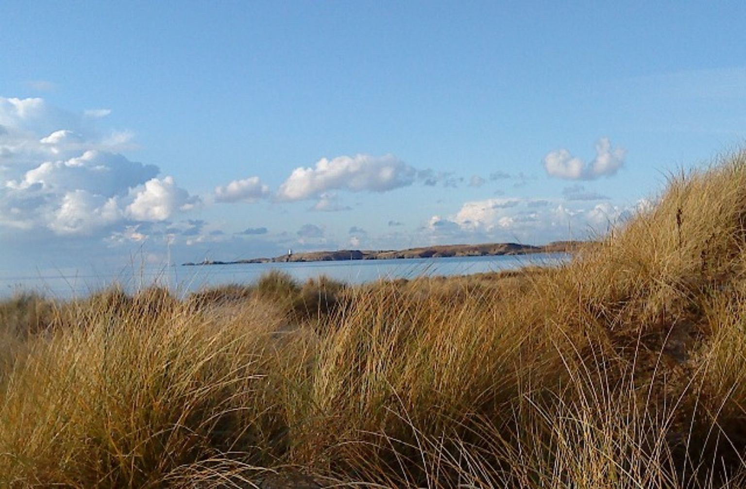 Discover the Top 5 Reasons to Choose Coastal Holidays for Your Anglesey Stay