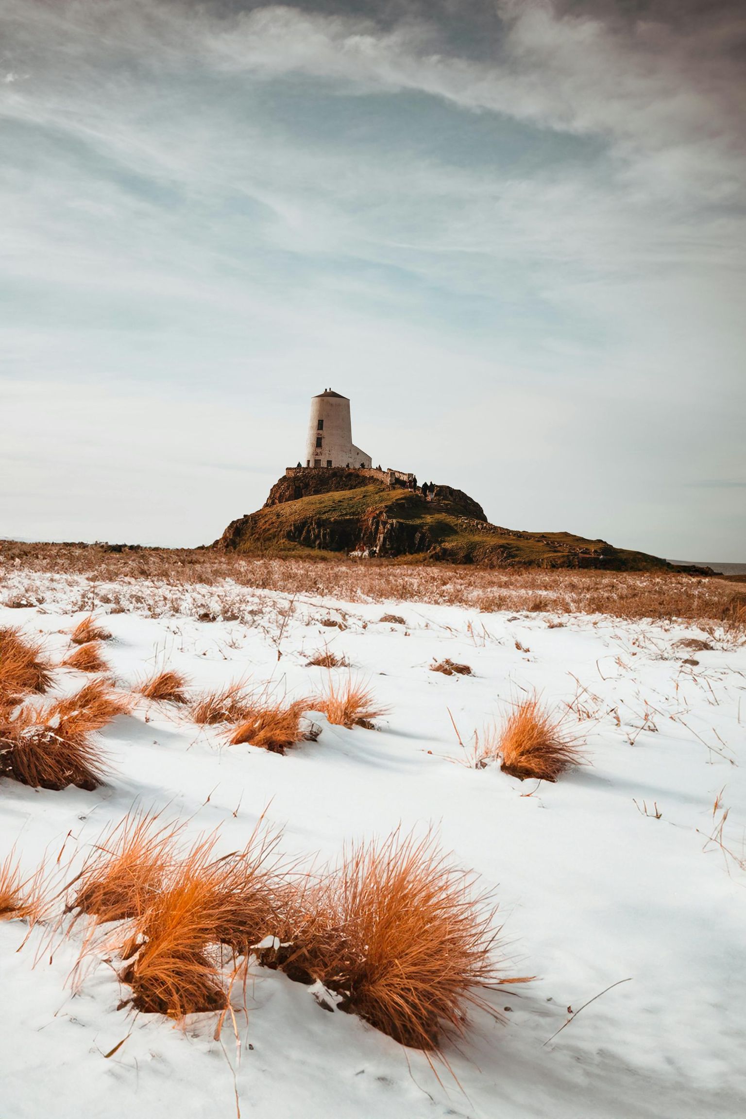 Winter Pricing Strategies for Competitive Bookings