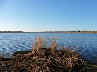 Photo of Felin Traeth Cottage