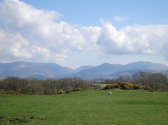 Photo of Fodol Cottages