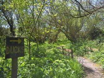 Photo of Hendy - Ground Floor Apartment