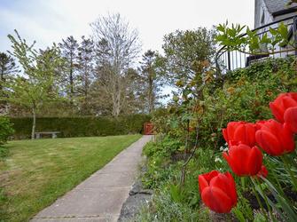 Photo of Wern y Wylan - Court