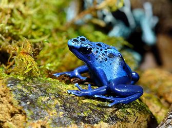 Enjoy a family fun day out!