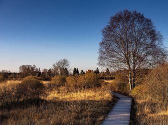 Anglesey’s Wetland Wilderness