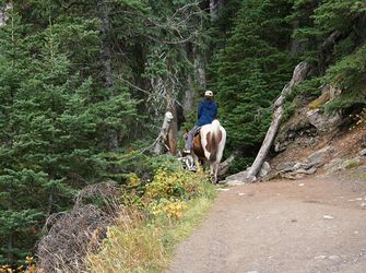 Anglesey Holiday Activities for all ages