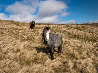Walking the Snowdonia Mountains