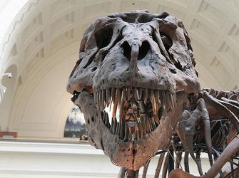 Rainy Day Fun in North Wales