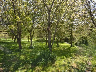 Photo of Hendy - Ground Floor Apartment