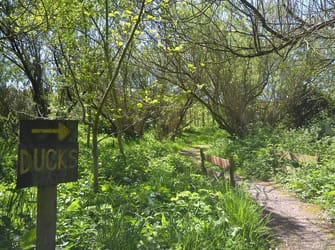 Photo of Hendy - Ground Floor Apartment