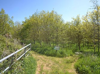 Photo of Hendy - Ground Floor Apartment