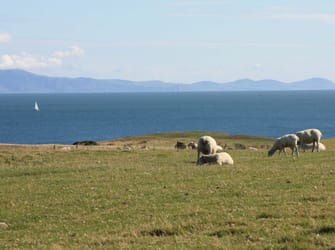 Photo of Plas Diwedd