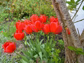 Photo of Wern y Wylan - Court