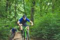 mountain bikers cycling in a wooded avenue